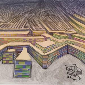 Image for article entitled Science of the Supermarket: An Analysis of Consumerism in the Developed World